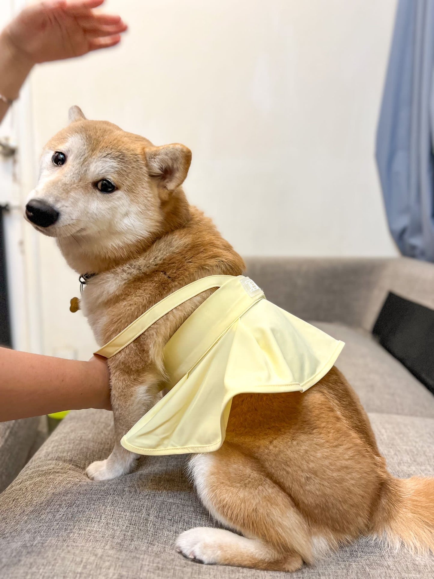 Pet yoga skirt